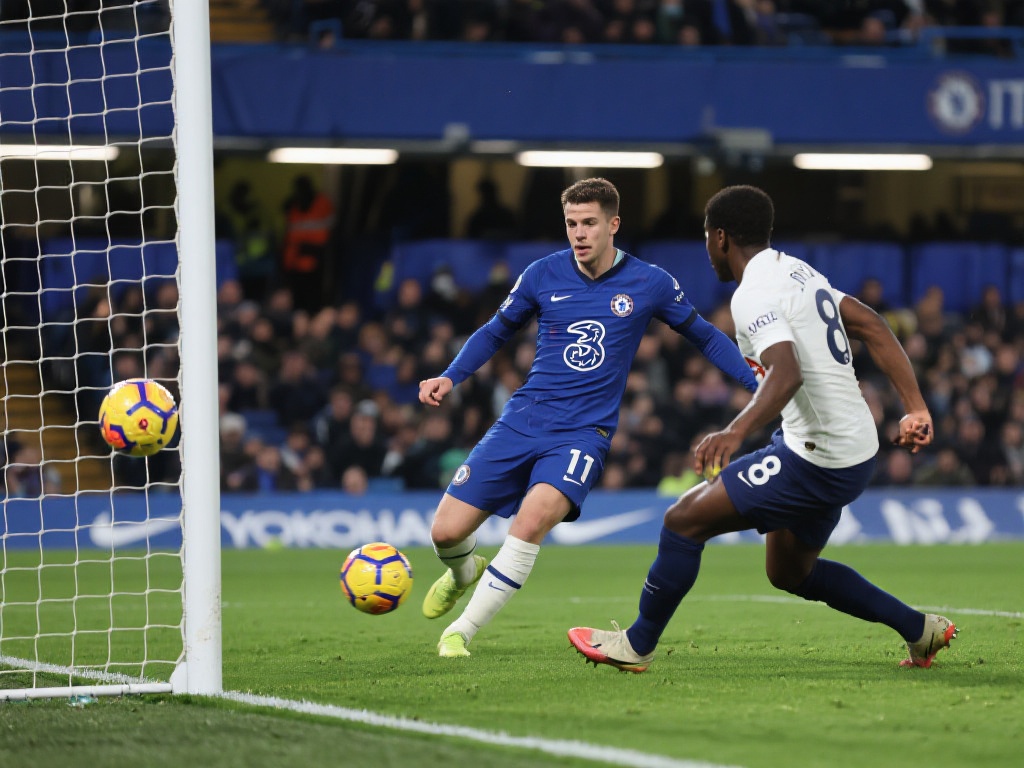 场随风飘扬 场随风飘扬